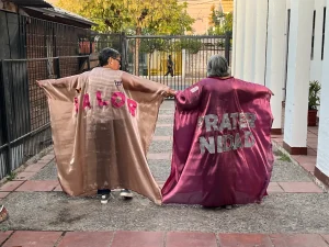 Constanza Hermosilla x Arpilleristas Mariposa Colibrí